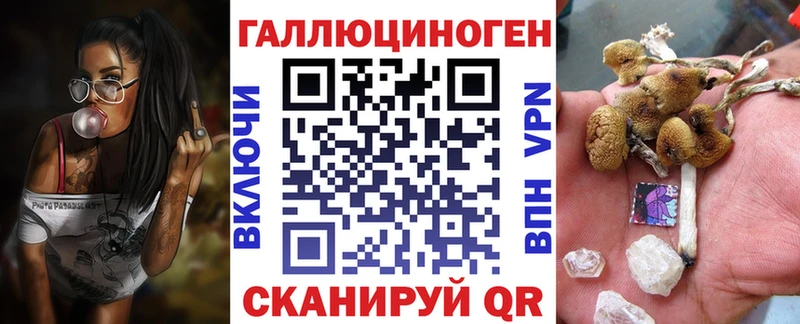 Галлюциногенные грибы GOLDEN TEACHER  Светлогорск 
